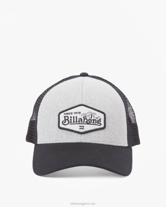 hombres Gris oscuro Billabong sombrero de camionero con paredes 04LD791