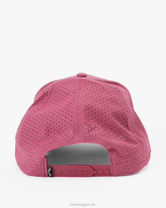 hombres baya silvestre Billabong sombrero de camionero newport 04LD820