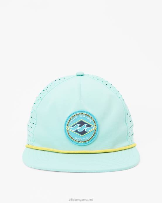 hombres menta fresca Billabong sombrero de camionero gama 04LD688