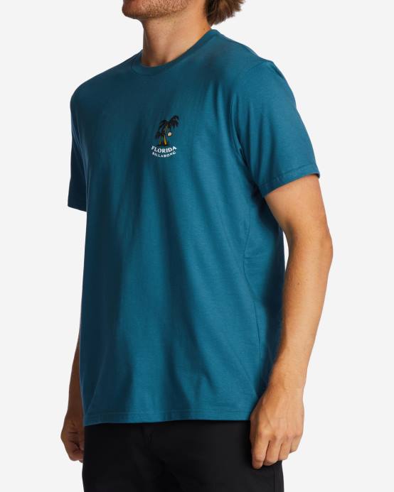 hombres Laguna Azul Billabong camiseta florida dos palmeras 04LD321