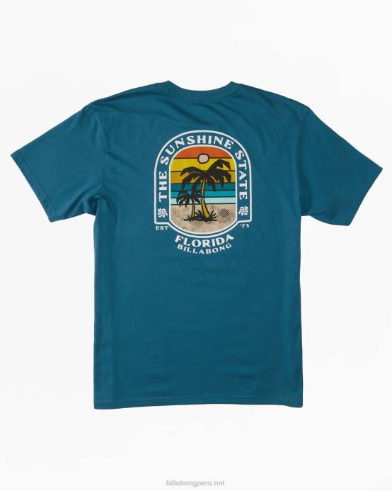 hombres Laguna Azul Billabong camiseta florida dos palmeras 04LD321