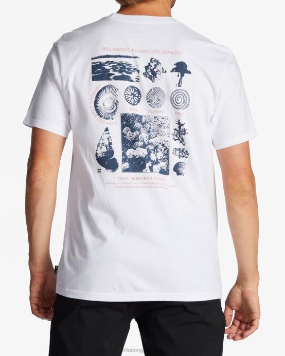 hombres blanco Billabong camiseta orgánica de investigación de mareas 04LD473
