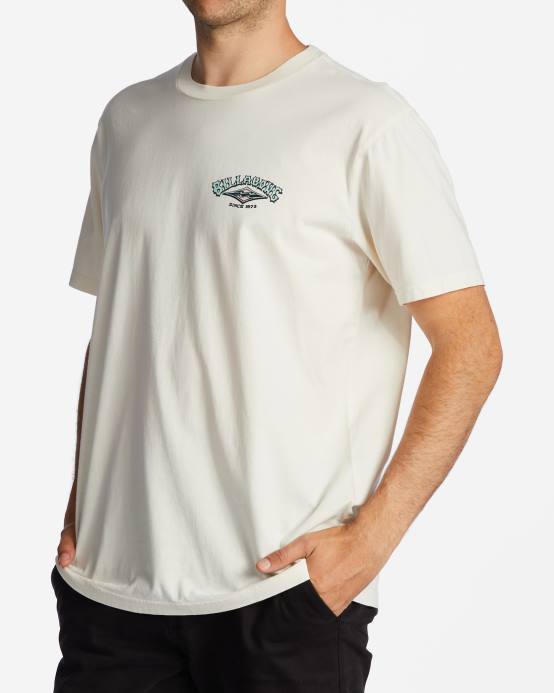 hombres blanquecino Billabong camiseta archwave 04LD520