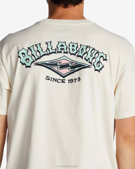 hombres blanquecino Billabong camiseta archwave 04LD520