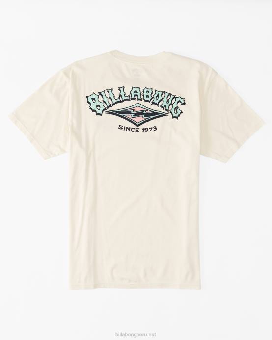 hombres blanquecino Billabong camiseta archwave 04LD520