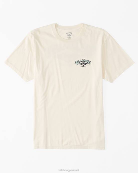 hombres blanquecino Billabong camiseta archwave 04LD520