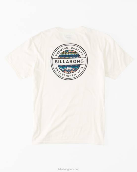 hombres blanquecino Billabong camiseta rotor 04LD525