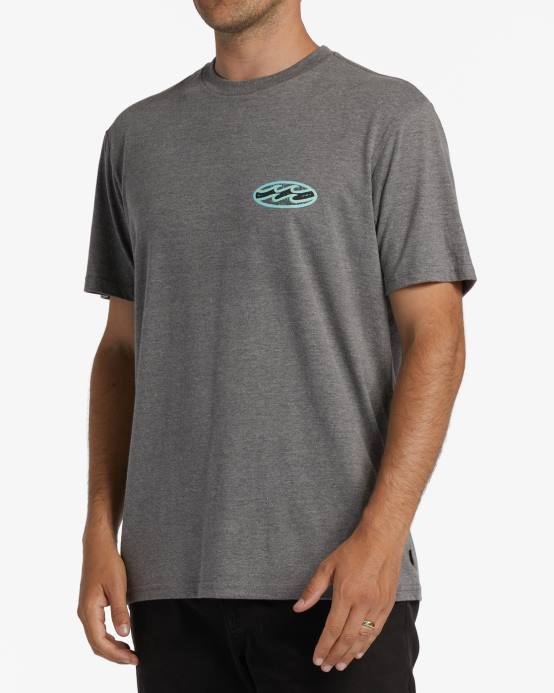 hombres brezo gris Billabong playera manga corta crayon wave 04LD583