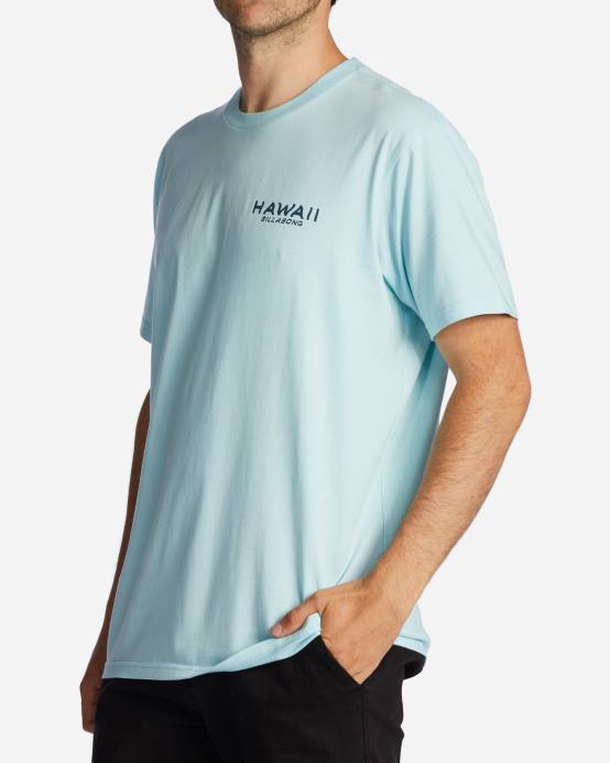 hombres costero Billabong camiseta con el puesto de observación de hawaii 04LD312