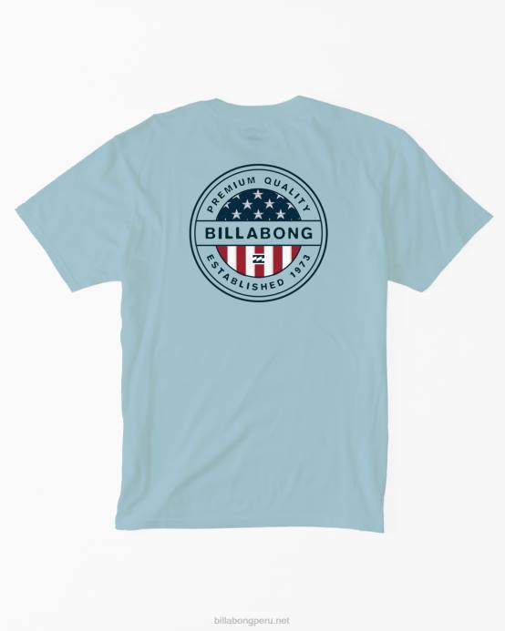 hombres costero Billabong camiseta rotor americano 04LD366