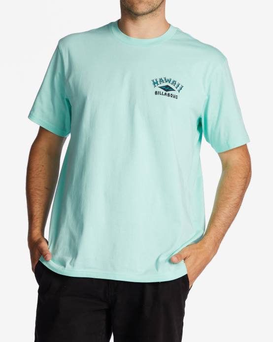 hombres menta fresca Billabong camiseta arco hawaii 04LD327