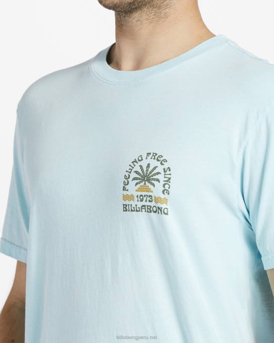 hombres menta fresca Billabong camiseta de manga corta constante 04LD600
