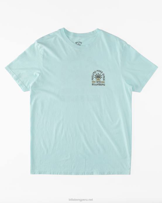 hombres menta fresca Billabong camiseta de manga corta constante 04LD600