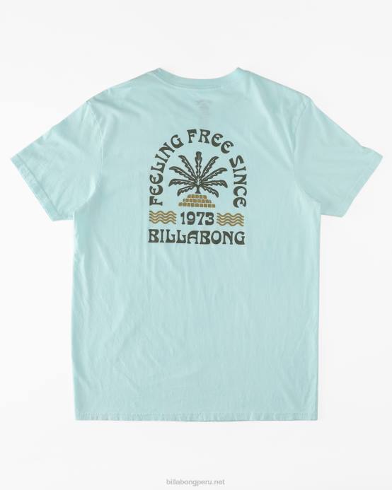 hombres menta fresca Billabong camiseta de manga corta constante 04LD600
