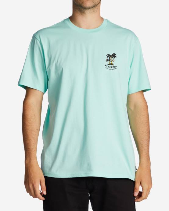 hombres menta fresca Billabong camiseta florida dos palmeras 04LD426