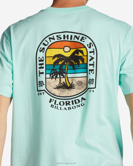 hombres menta fresca Billabong camiseta florida dos palmeras 04LD426