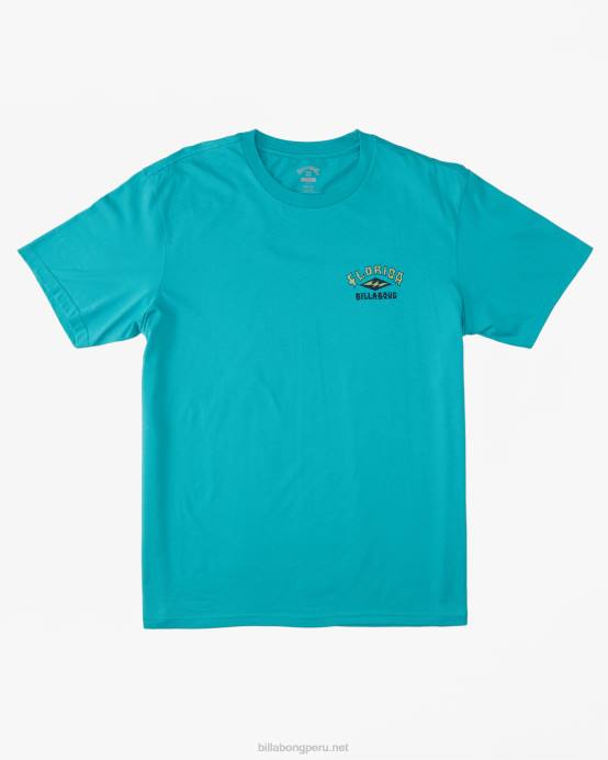 hombres menta oscura Billabong camiseta arco florida 04LD400