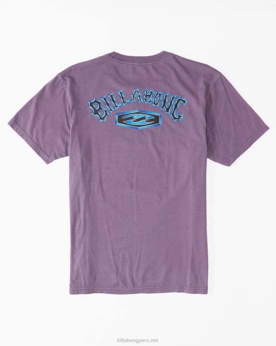hombres neblina púrpura Billabong camiseta archwave 04LD331