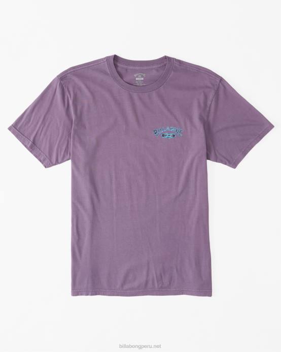 hombres neblina púrpura Billabong camiseta archwave 04LD331