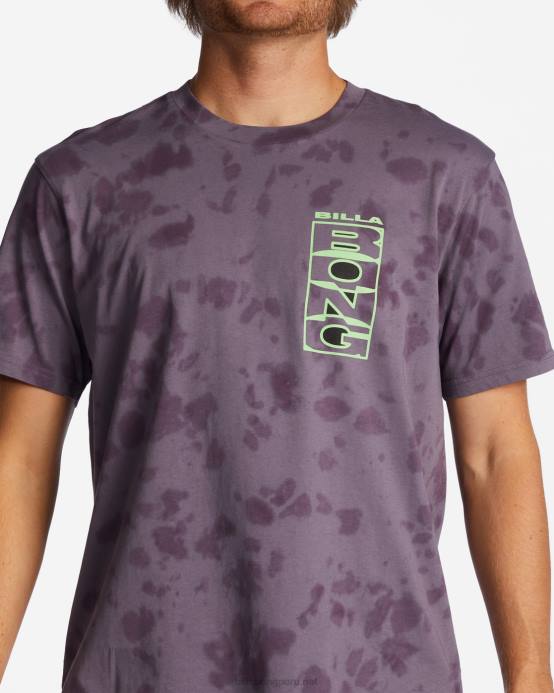 hombres neblina púrpura Billabong l.o.t.r. camiseta 04LD633