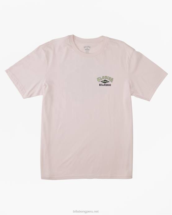 hombres neblina rosa Billabong camiseta arco florida 04LD420