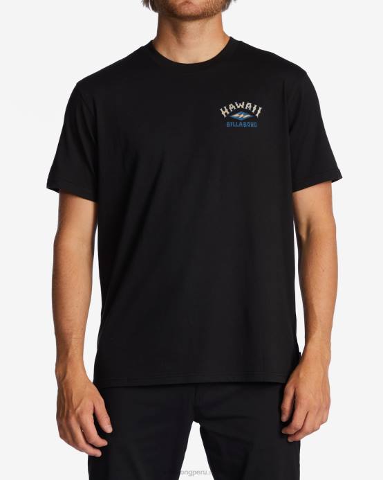 hombres negro Billabong camiseta arco hawaii 04LD337