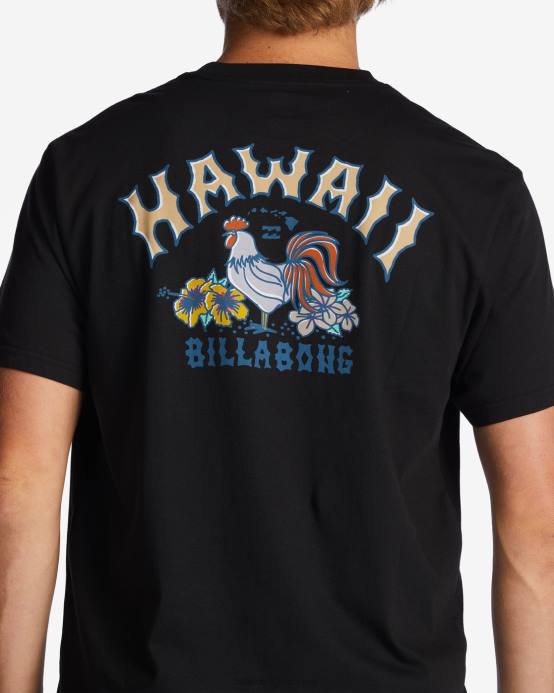 hombres negro Billabong camiseta arco hawaii 04LD337