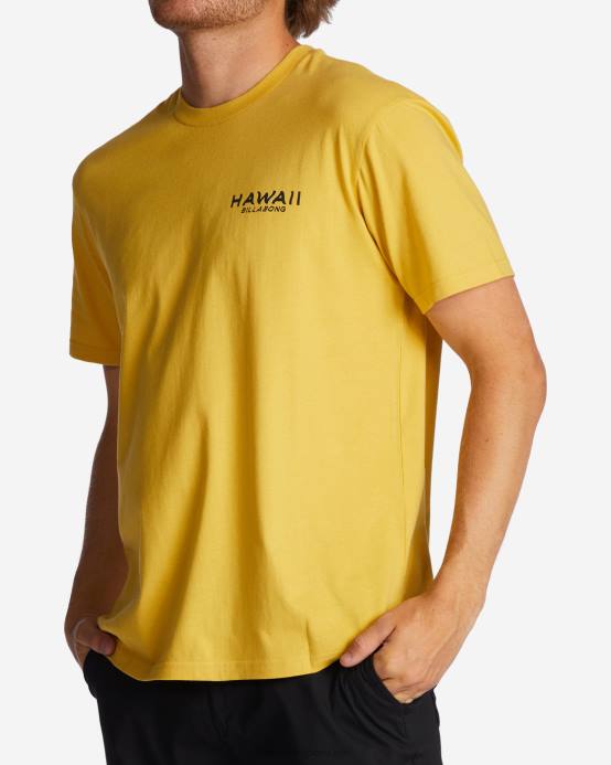 hombres soleado Billabong camiseta con el puesto de observación de hawaii 04LD384