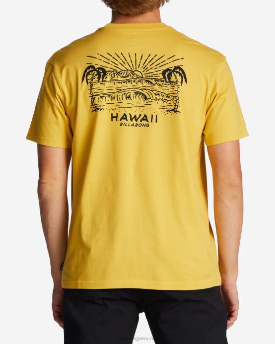 hombres soleado Billabong camiseta con el puesto de observación de hawaii 04LD384