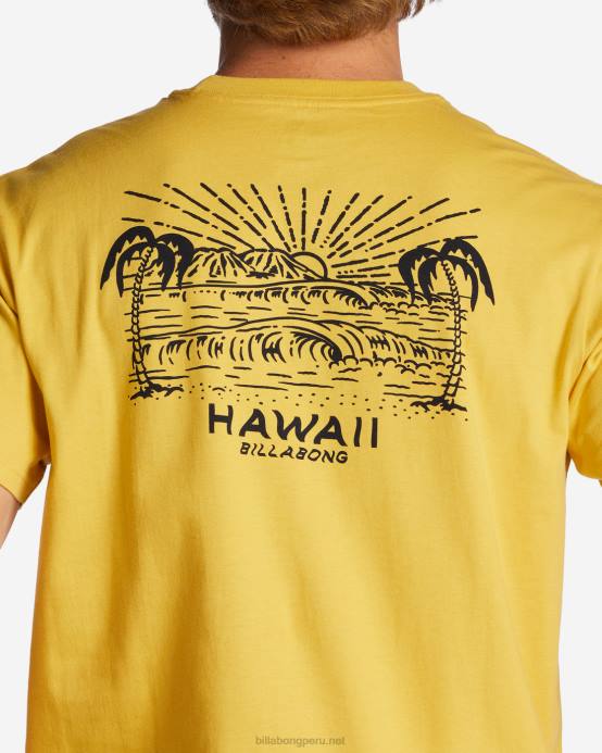 hombres soleado Billabong camiseta con el puesto de observación de hawaii 04LD384