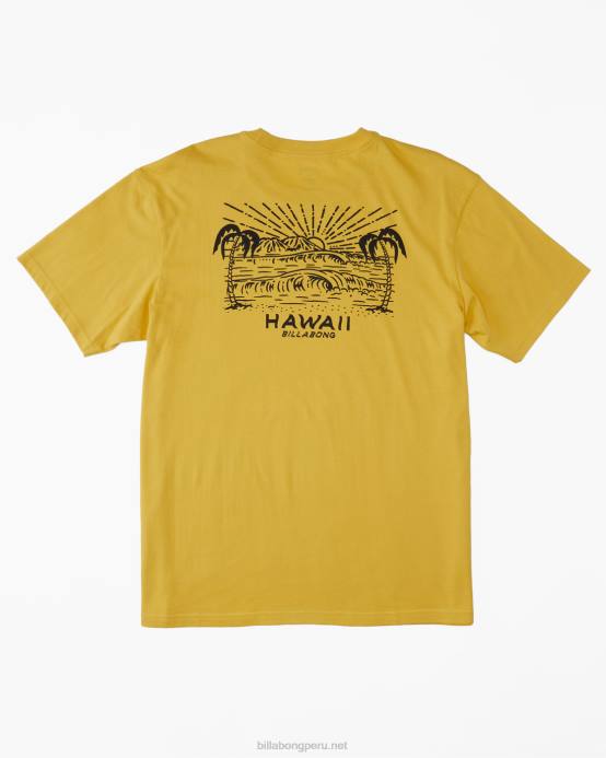 hombres soleado Billabong camiseta con el puesto de observación de hawaii 04LD384