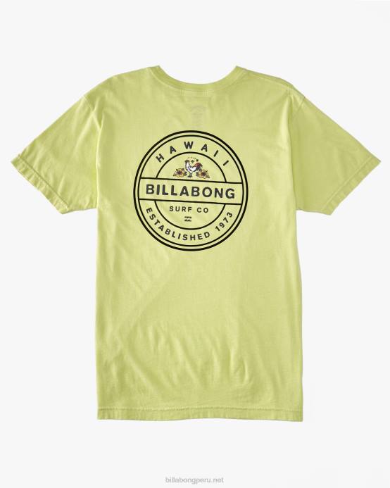hombres verde claro Billabong camiseta gallo rotor 04LD323