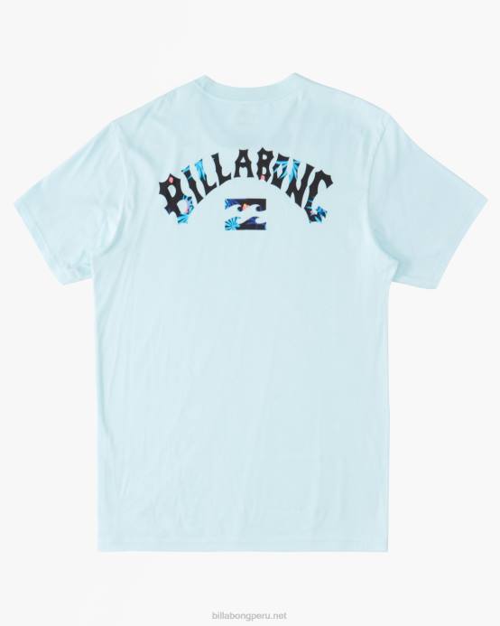 Niños costero Billabong camiseta con relleno de arco 04LD1043