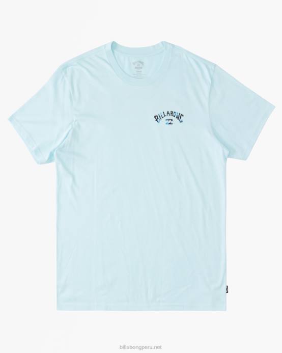 Niños costero Billabong camiseta con relleno de arco 04LD1043