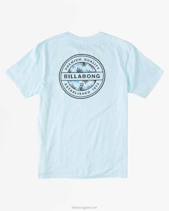 Niños costero Billabong camiseta rotor 04LD1032