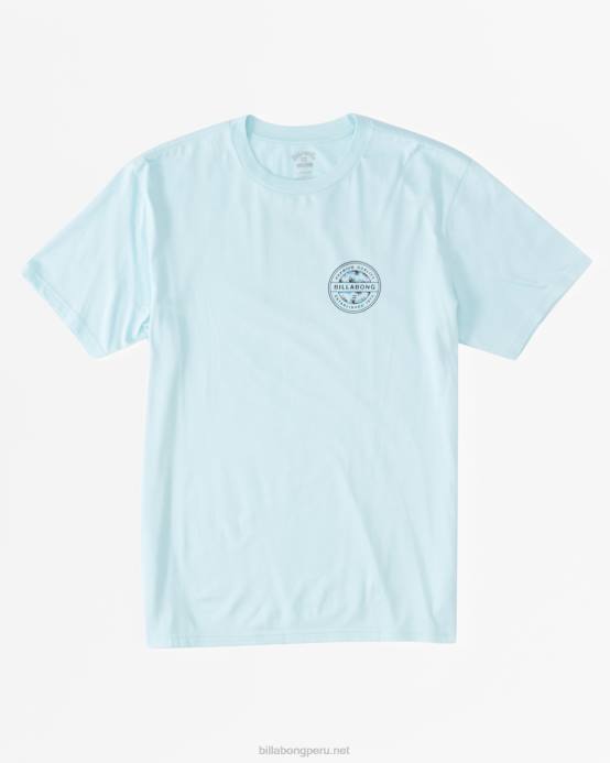 Niños costero Billabong camiseta rotor 04LD1032